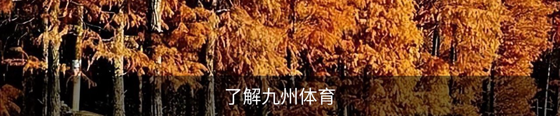 了解九州体育