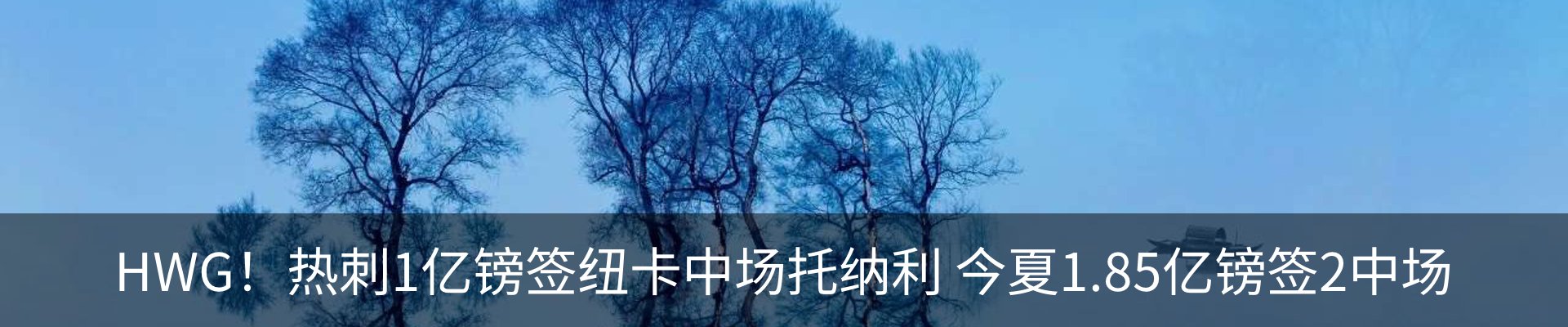 新闻中心